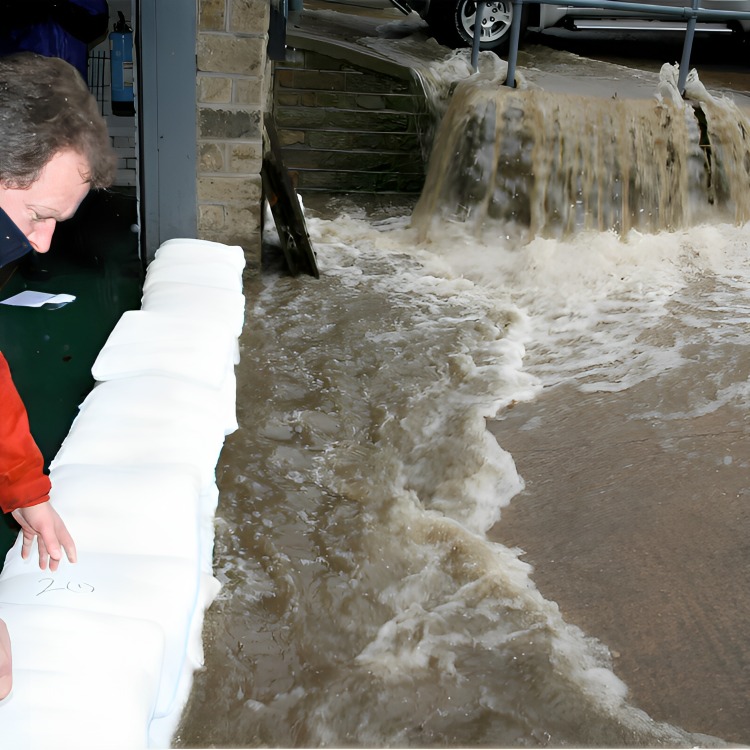 floodsax-2 (1)
