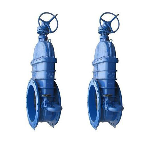 bevel gear valve (1)