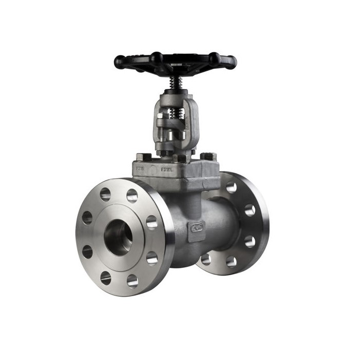 stainless steel gate valve 锻钢闸阀 (1)